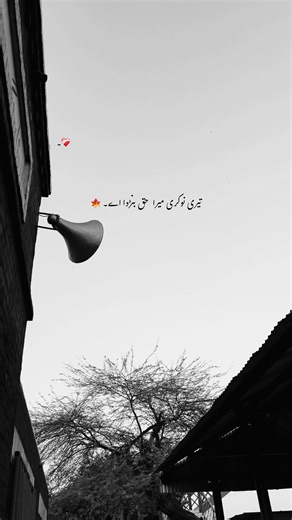 تیری نوکری میرا حق بنڑدا اے۔🥹❤️‍🩹🍁🤌🏻@#foryou #foryoupage #poetry #poetrystatus #unfreezemyaccount