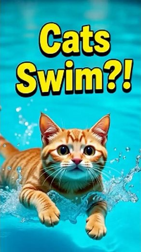 10 Surprising Reasons Cats Can Swim 🐾💦 | Amazing Cat Facts