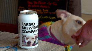 281K views · 5.1K reactions | Fargo Brewing Company is using its beer cans for a good cause: to find forever homes for local shelter dogs. Its latest run of beer cans features adorable canines and some fun facts, like which pups love long walks or meeting new friends. | NBC Nightly News with Tom Llamas | Facebook