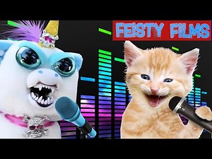 Crazy Feisty Songs Compilation! Vol. 4