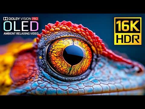 Epic 16K 120fps Video | BEST HDR Nature Dolby Vision | OLED Showcase | 4K Video • 8K Ultra HD TV