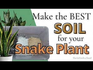 The Best DIY Soil for Snake Plants