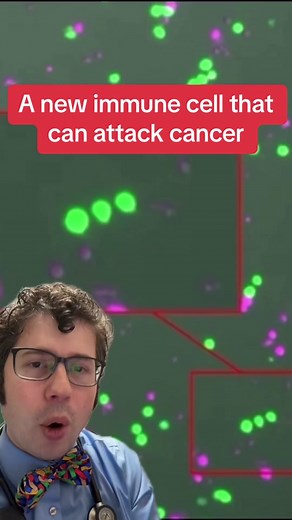 Type 2 innate lymphoid cells (ILC2s) were discovered in 2010 and while they have an important role in many allergic diseases, they may also be able to be used as a cancer treatment in the future. #cancer #stemtok #science #tiktokdoc #learnontiktok