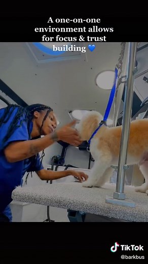 #barkbus #doggrooming #mobiledoggroomer #petcare