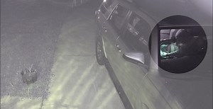 10K views · 55 reactions | Port St Lucie Police are investigating...