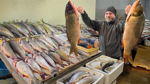 Frying Two Huge Carp Over a Campfire