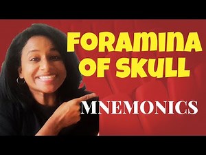 With these mnemonics you will never forget the foraminas