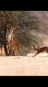 27K reactions · 304 shares | La Casa de Ceramica on Reels | Facebook