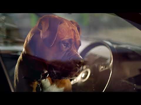 Smooth Radio 2018 Advert: The Perfect Companion to your day