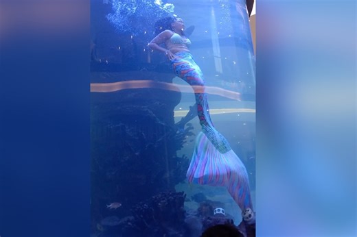 Scary moment mermaid’s tail gets caught on reef