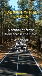 404K views · 1.8K reactions | Identify The Error 262 #English #englishgrammar #englishlesson #englishlearning #quiz | Quizbee World | Facebook