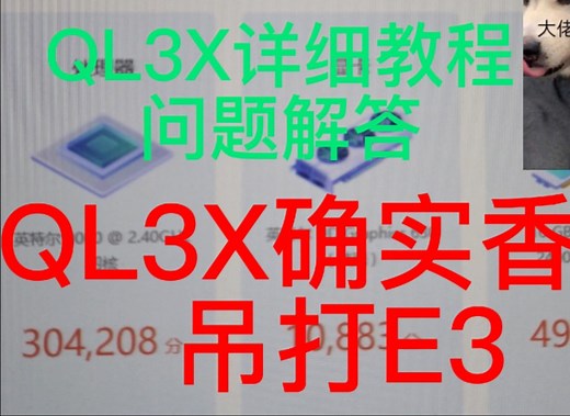 QL3X详细教程以及问题解决方法