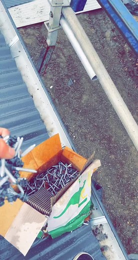 Dylan Wilson on TikTok