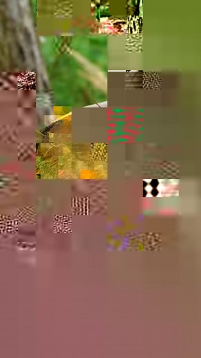 3.9M views · 10K reactions | Genius growing plant hacks for your inner gardener! | 5-Minute Crafts | Facebook