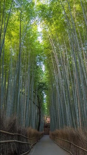 Top 5 Relaxing Nature Spots | Most Peaceful Places on Earth | Relaxing Nature Travel Guide!