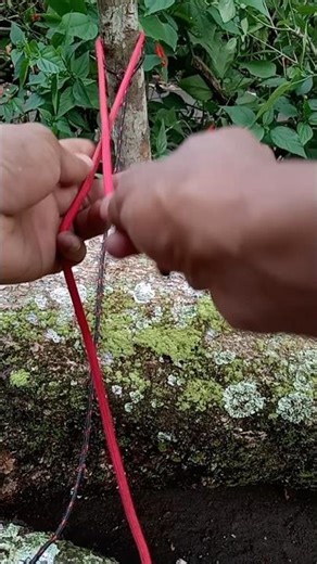 slip knot,,,tips for tying animals#knot #diy
