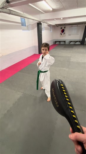 Kids Taekwondo: Fun and Success in Martial Arts