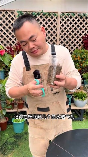 Master Osmanthus Propagation: Learn Rooting & Sprouting Tips