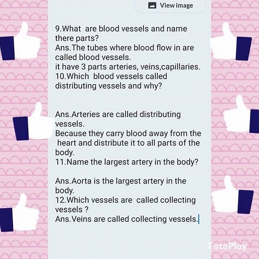 Circulatory System questions and answers
