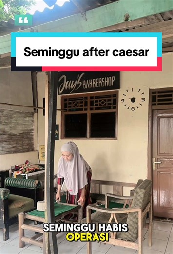 Tips Merawat Ikan Channa Pasca Operasi Caesar
