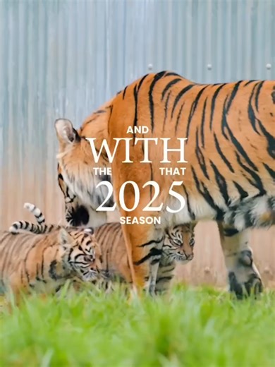 Thank You from West Midlands Safari Park: 2025 Highlights
