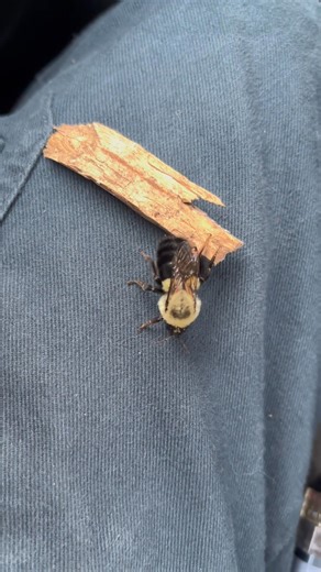 Just helping | Impact Pest Control Inc.