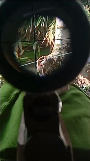 #8 How to Calibrate a Scope for Accurate Targeting