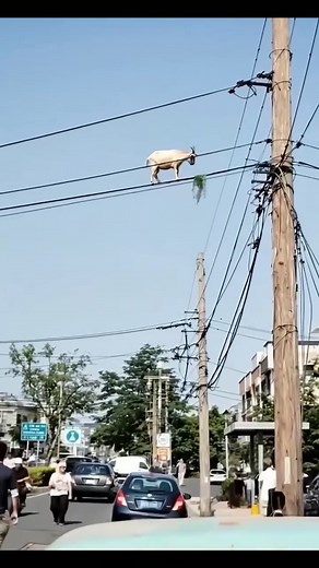 GB PLUS HD | GB Plus