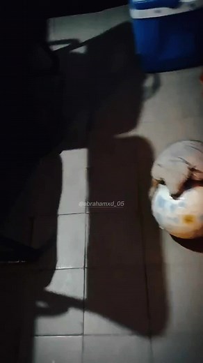 Fuleco - La Canción del Mundial 2014 en Brasil