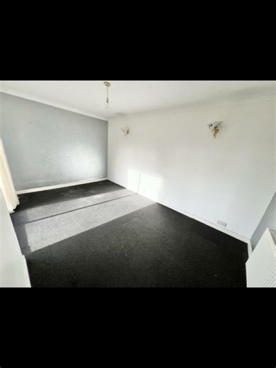 Velaris Library Transformation for World Book Day