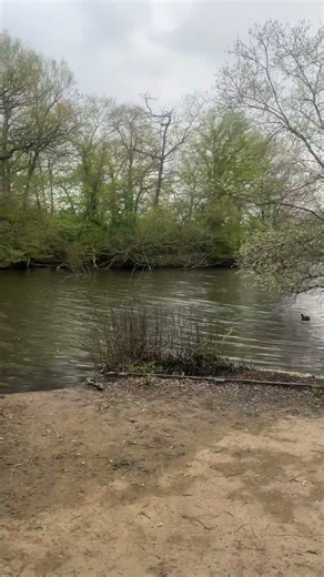 #shorts~epping forest