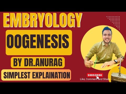 OOGENESIS//Oogenesis animation//oogenesis in Hindi//Embryology Lectures