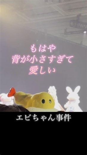 【かわいそかわいい】小さすぎてエビちゃんしか見えない件。 #こぎみゅん #サンリオ