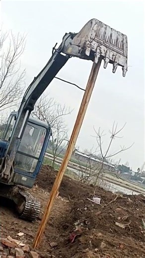 The process of driving wooden piles into the ground