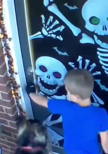 Hilarious Dog Walking Fails That Will Make You Laugh