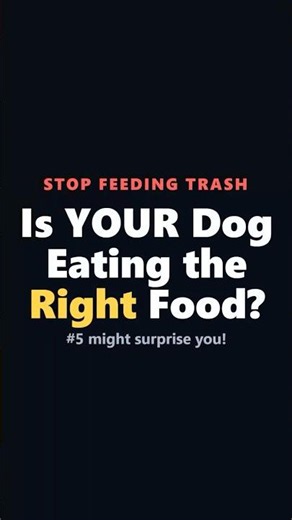 Best Dog Food 2026: Top 5 Picks for Your Pup! #DogFood #AmazonFinds