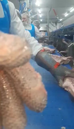 Ionuț Ștefan Postolache24 pe TikTok