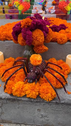 🕯️Día de Los Muertos Altar on the steps of Carnegie Art Museum in @downtownoxnard! Stop by and see this years altar now through Nov. 3 #visitoxnard #oxnard #oxnardca #visitcalifornia #díadelosmuertos #diademuertos | Visit Oxnard, California