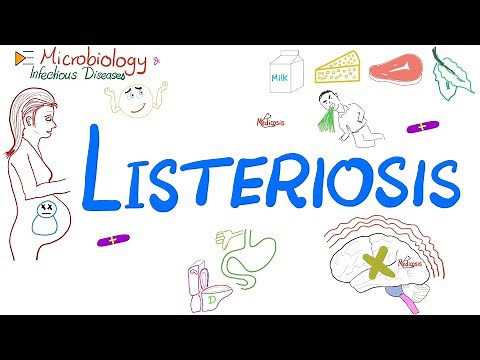 Listeriosis (disease) | Listeria Food Poisoning | Microbiology 🧫 & Infectious Disease