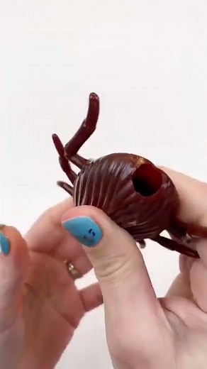 Cockroach ASMR?? #shorts