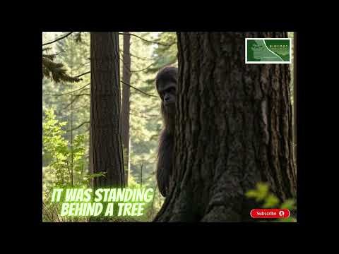 The Creature Behind the Tree - Creek Devil