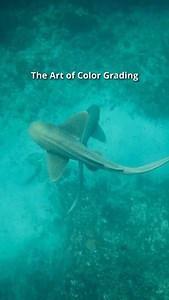 26 reactions · 47 comments | Color grade before/after  By @grade.co ・・・・・・・・・・ Follow  @movie.effects.vfx for more  —————————————— #makingofmovies #cinema #movies #makingof #camera #behindthescenes #cinematography #cgi #movieeffectsvfx #vfx #cinemacamera #filmmaking | Movie.Effects.VFX | Facebook