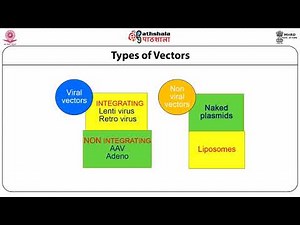 Fundamentals of gene therapy