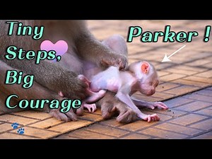 Mama Pinka & Baby Parker Close Up Baby Growing Stronger and Learning to Walk Day by Day”