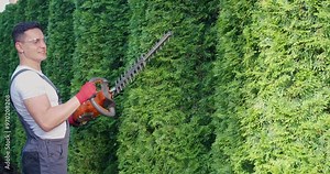 Positive yong man wearing overalls, safety gloves and glasses pruning hedge. Competent gardener using hand electric trimmer outdoors. Manual work during summer time.