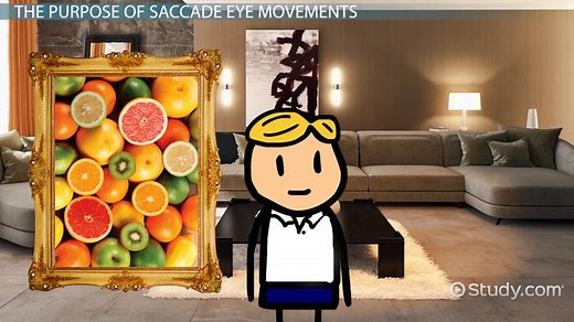 Saccade Eye Movements | Definition, Types & Tests