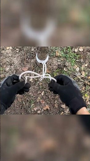 DIY Tree Trunk Holder: Simple Life Hack! #shorts