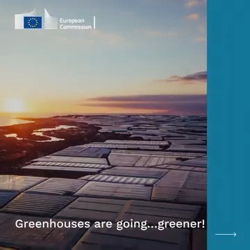 Greener greenhouses promise more energy-efficient growing power. Discover how EU-funded researchers are revolutionising #greenhouse farming in Europe! From using plant moisture to generate heat to transparent solar panels that let crops grow while producing clean energy, the future of sustainable #agriculture is here. Read more ➡️ bit.ly/3SaOdzJ #ResearchImpactEU | HORIZON: the EU Research & Innovation magazine
