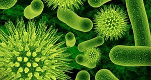 The Importance of 5-MTHF: Methylation and Your Body