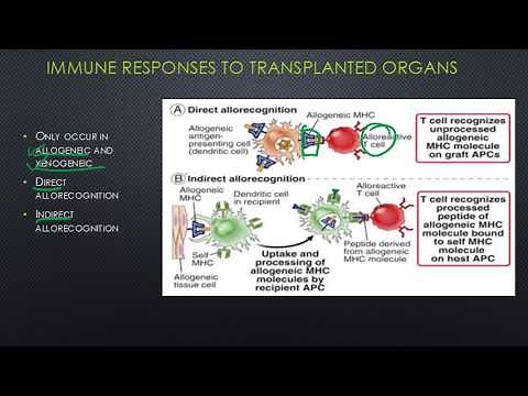 Transplant Immunology